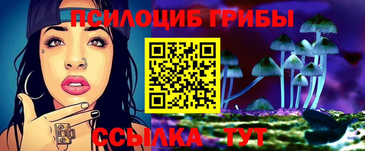 Арзамас  Псилоцибиновые грибы ЛСД  Вход с VPN 