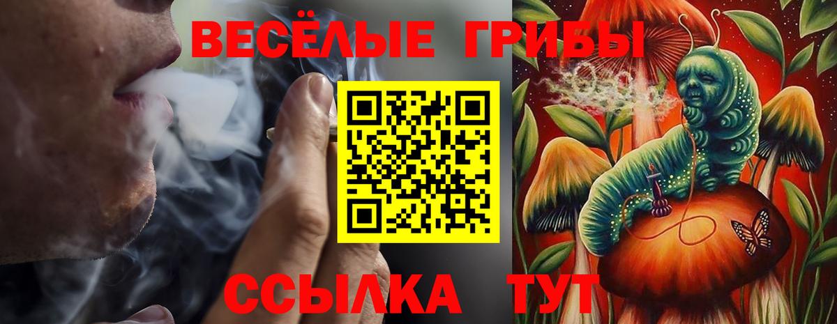 Псилоцибиновые грибы ЛСД Арзамас